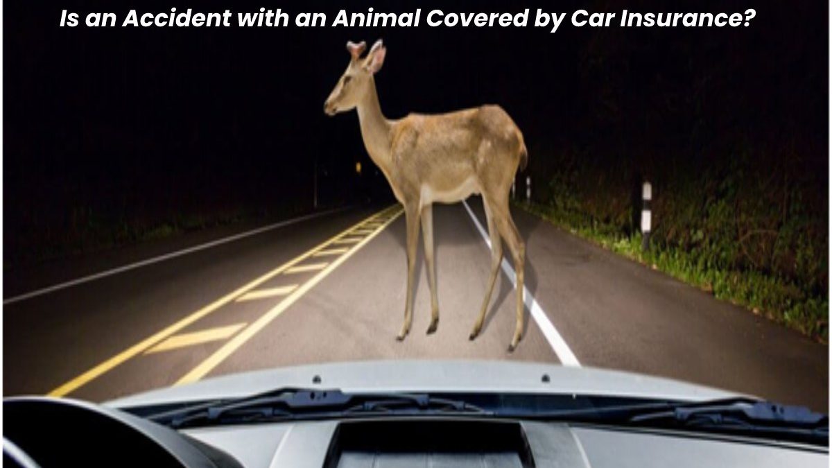 Is an Accident with an Animal Covered by Car Insurance?