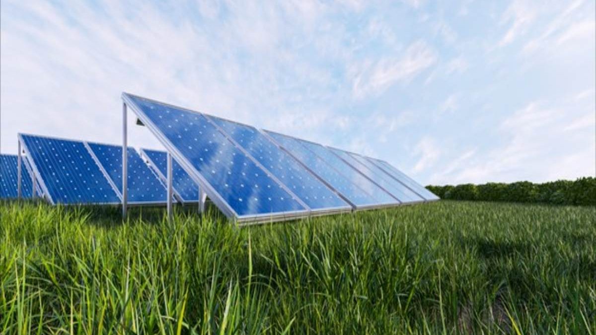 Solar Panel 101: 5 Perks of Buying Solar Panels