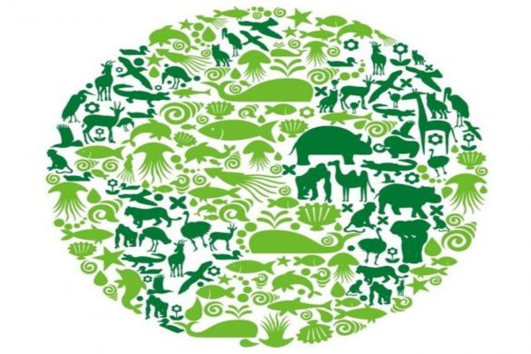 Save the earth
