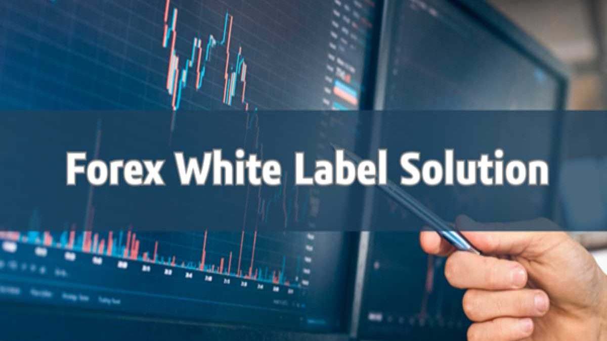 Top Reasons For The Popularity Of Forex White Label Solution