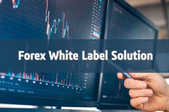 Forex White Label