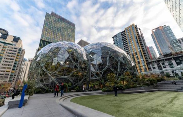 Amazon
