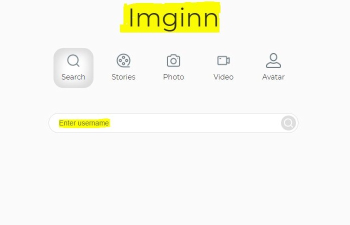 How Does Imginn Work?