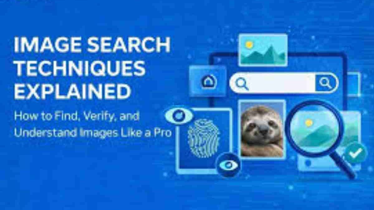 How Can Image SEO Drive More Traffic to your Site through Image Search Techniques?