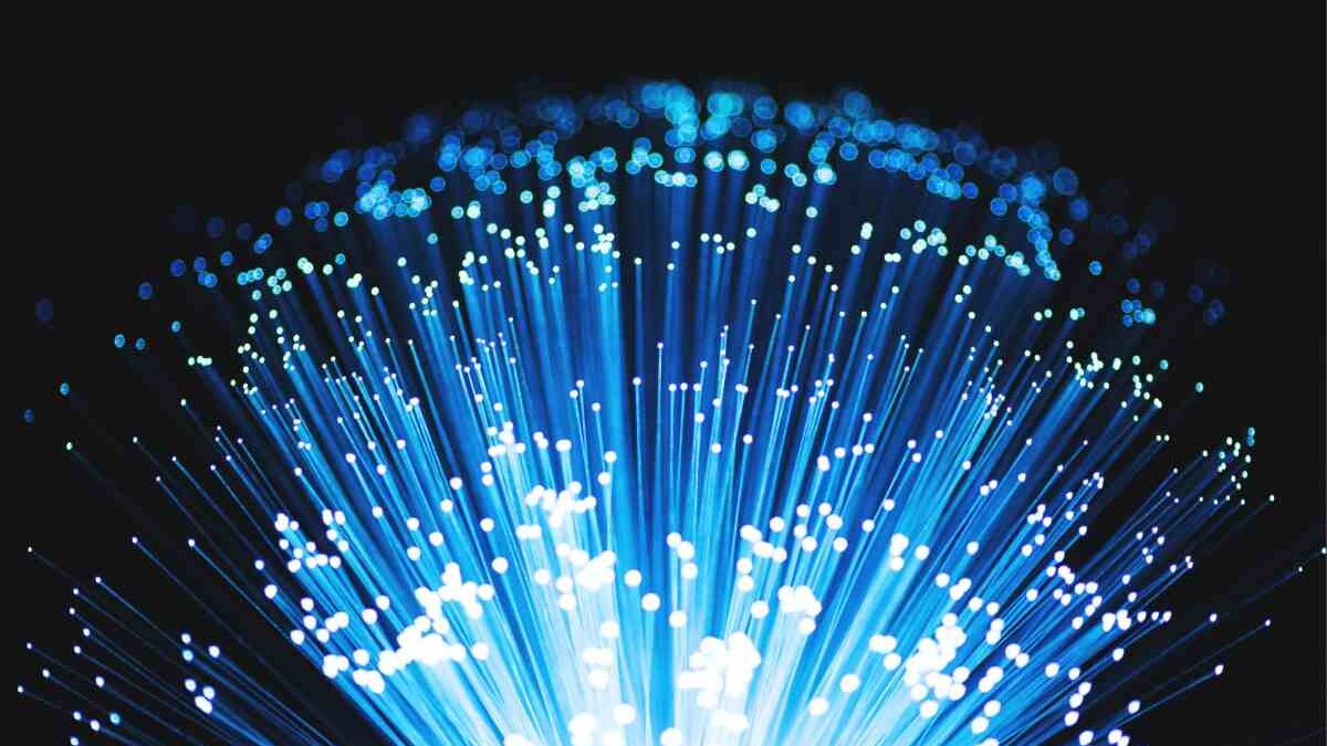 SoD Violation vs. SoD Case – The Differences